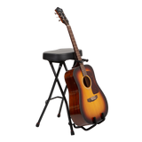 Guitar Stool W/ Stand