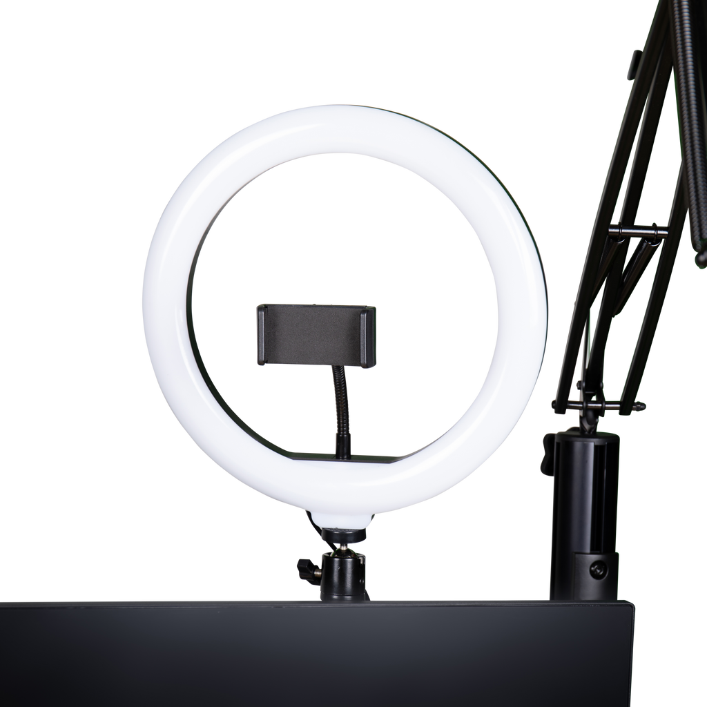 ID Series Creator Tree Ring Light Fixture