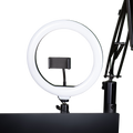 ID Series Creator Tree Ring Light Fixture
