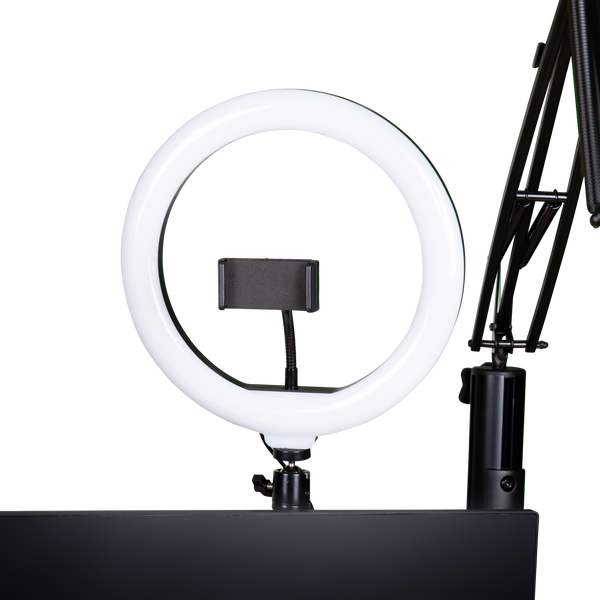 ID Series Creator Tree Ring Light Fixture