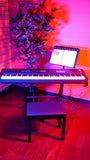 Traditional Wooden Piano Bench In Black