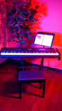 Traditional Wooden Piano Bench In Black