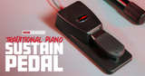 Frameworks Traditional Piano Sustain Pedal