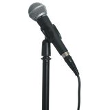 Standard Microphone Clip
