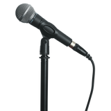 Standard Microphone Clip