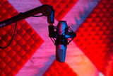 Universal Shockmount For Mics 42-48Mm In Diameter
