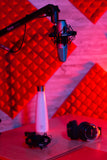 Universal Shockmount For Mics 42-48Mm In Diameter