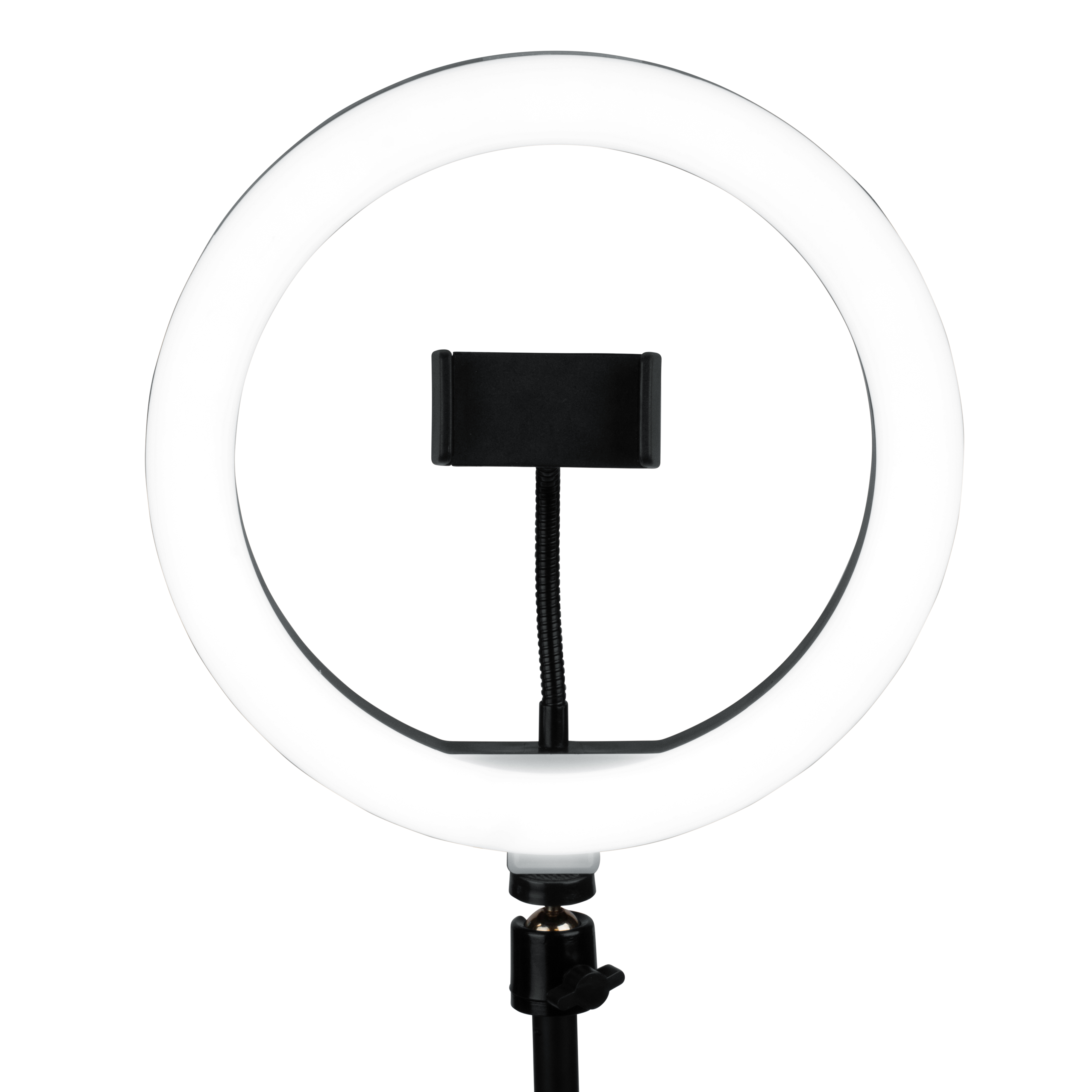 Set Of Two Stands, Ring Lights & Phone Holders