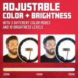 Set Of Two Stands, Ring Lights & Phone Holders