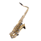 Wall Hanger for Saxophone