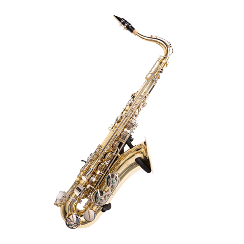 Wall Hanger for Saxophone