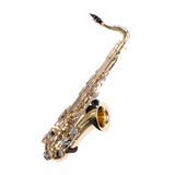 Wall Hanger for Saxophone