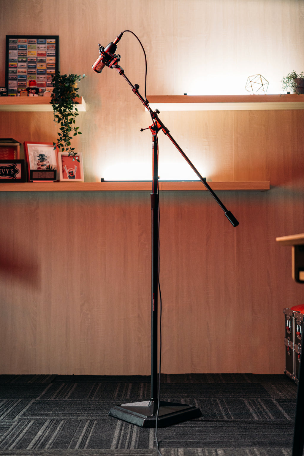 Studio Mic Boom with Hex Base