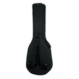 Acoustic Bass Guitar Lightweight Case