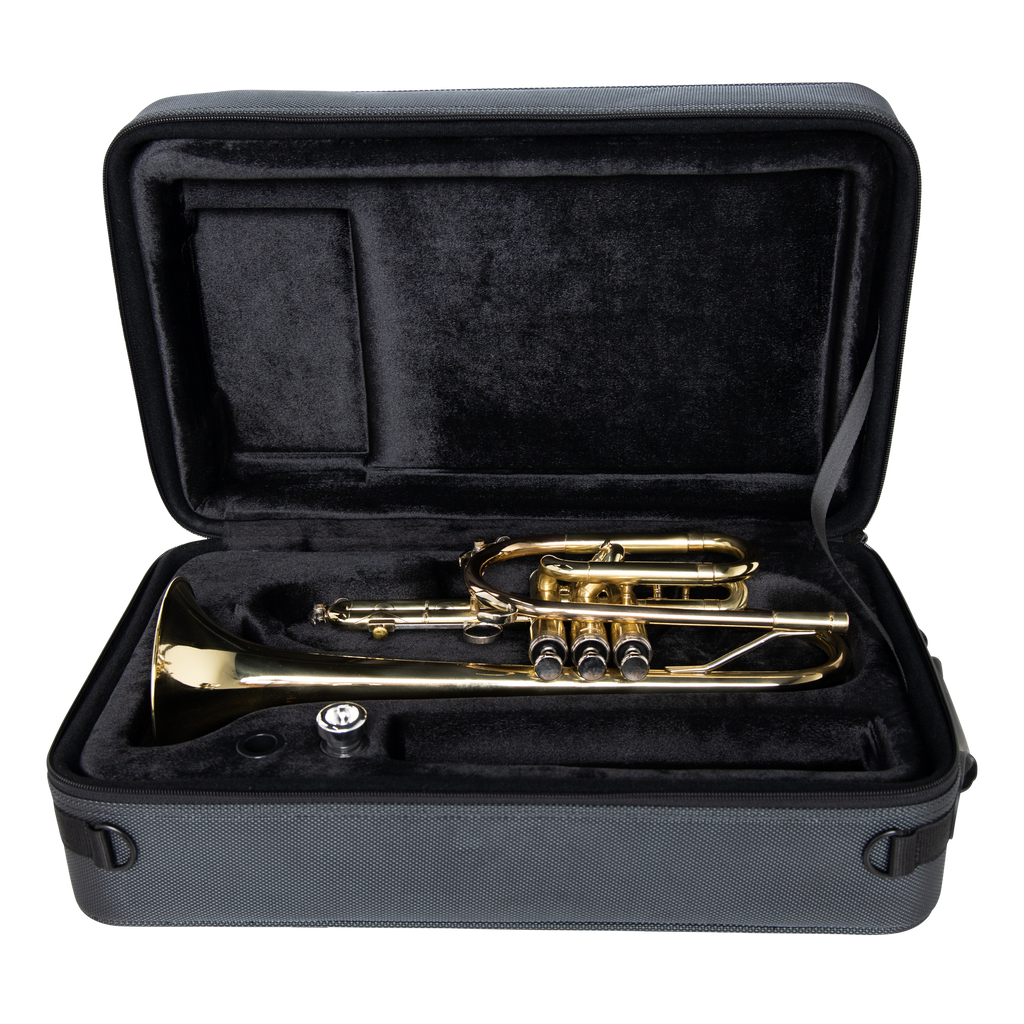 Lightweight Case for Cornet