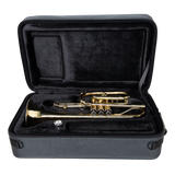 Lightweight Case for Cornet