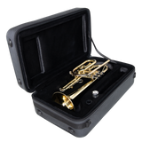 Lightweight Case for Cornet