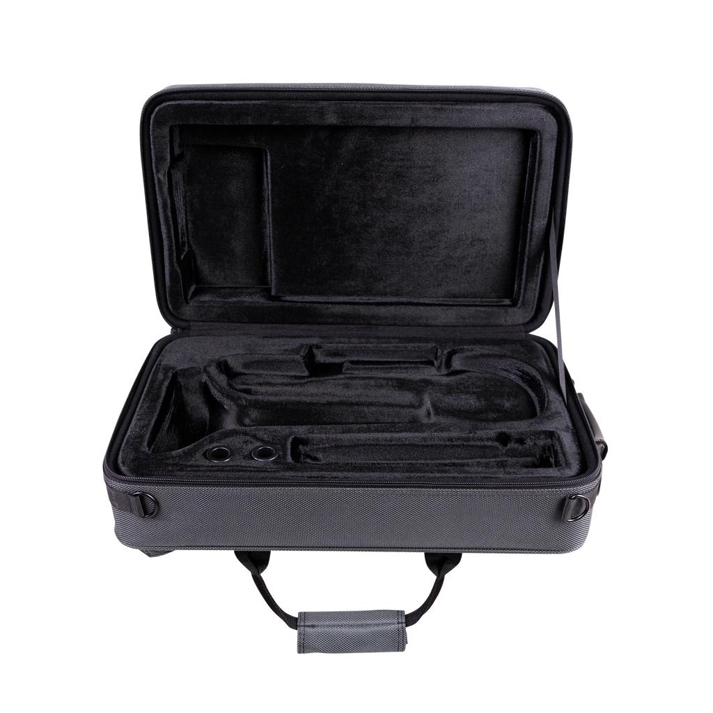 Lightweight Case for Cornet