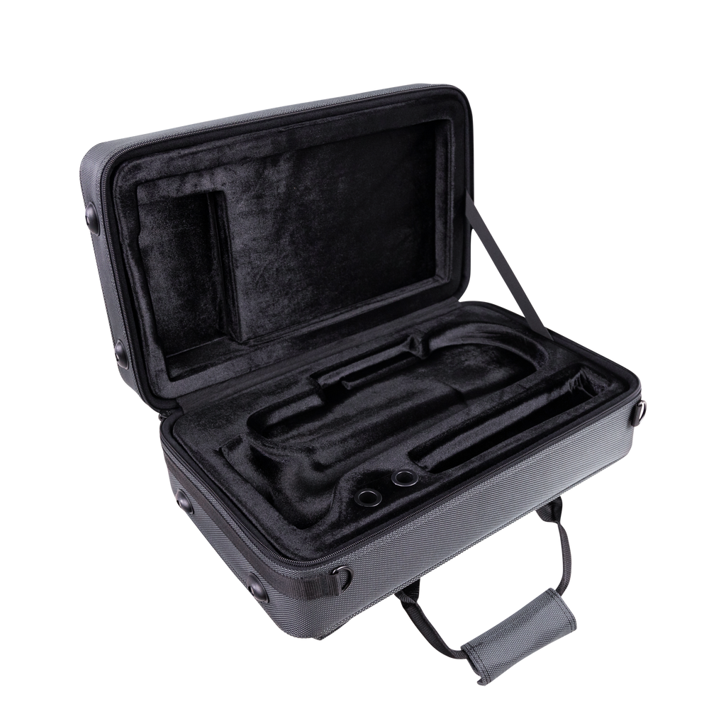 Lightweight Case for Cornet