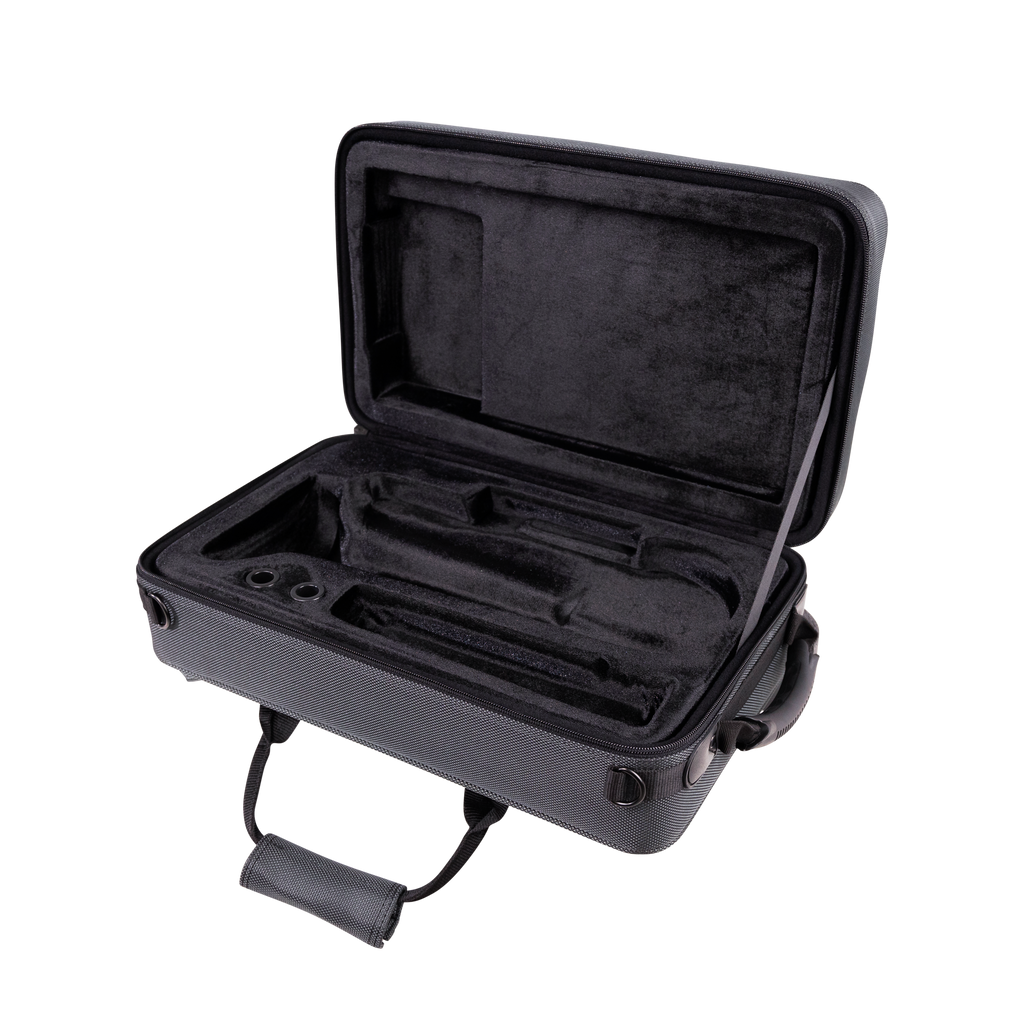 Lightweight Case for Cornet
