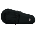 Mandolin Lightweight Case