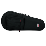 Mandolin Lightweight Case