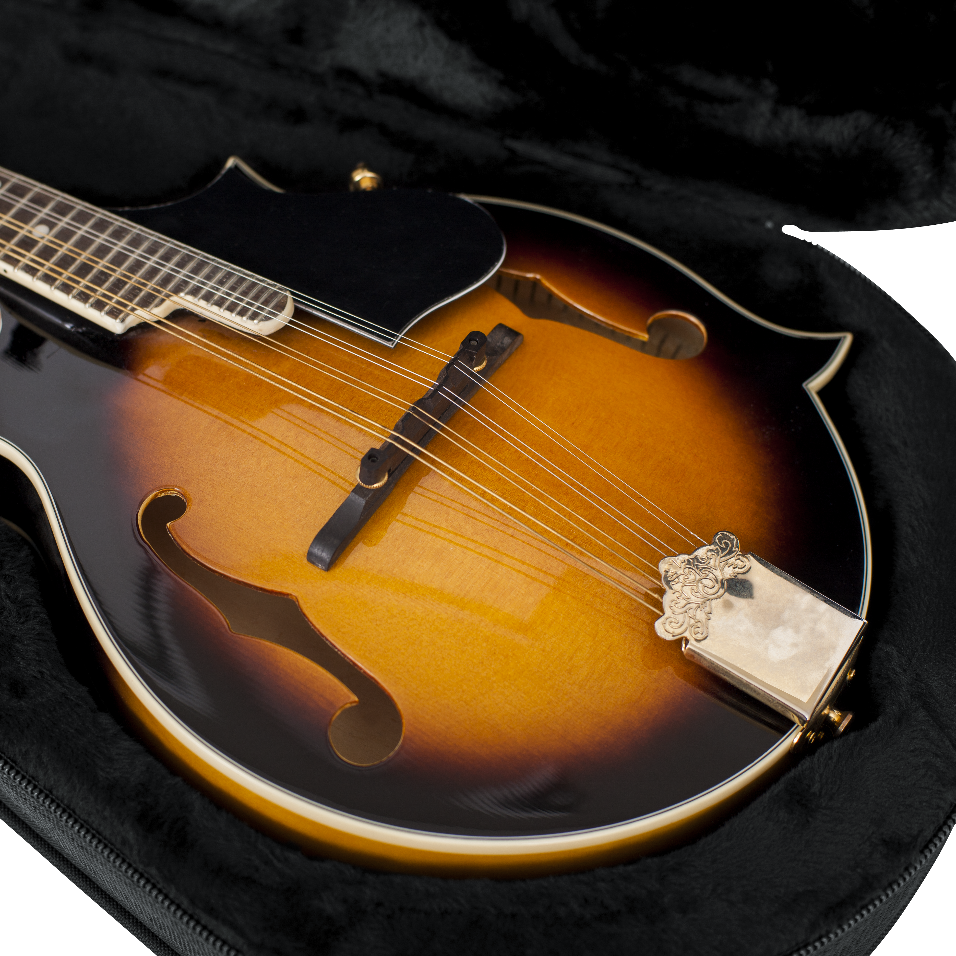 Mandolin Lightweight Case