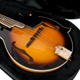 Mandolin Lightweight Case