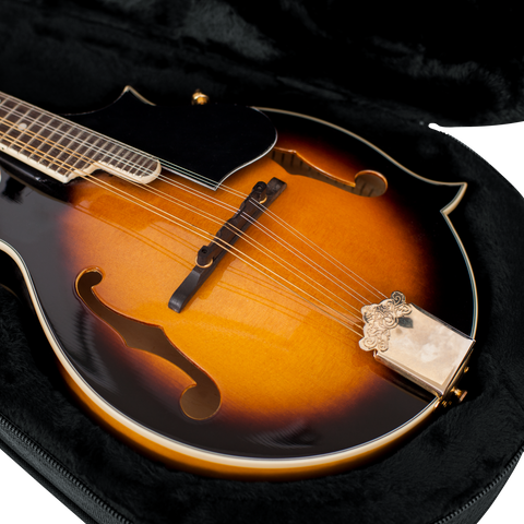 Mandolin Lightweight Case