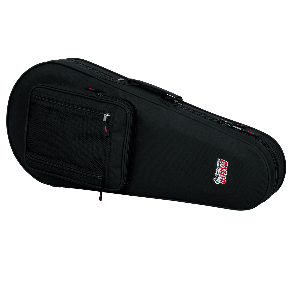 Mandolin Lightweight Case
