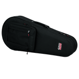 Mandolin Lightweight Case