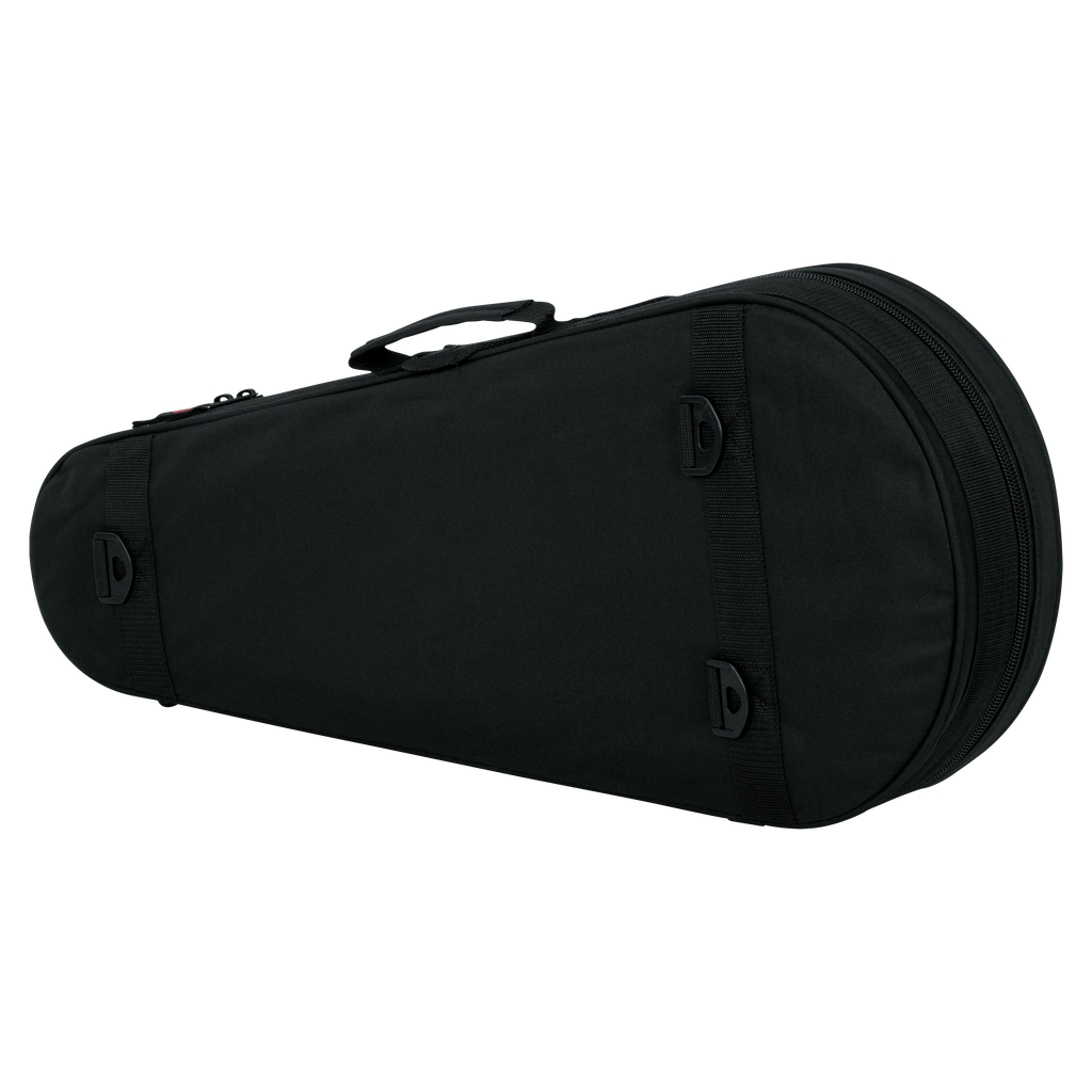 Mandolin Lightweight Case