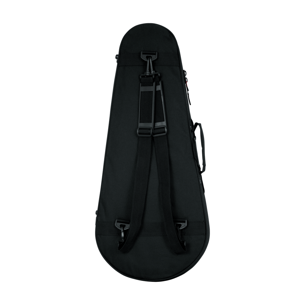 Mandolin Lightweight Case