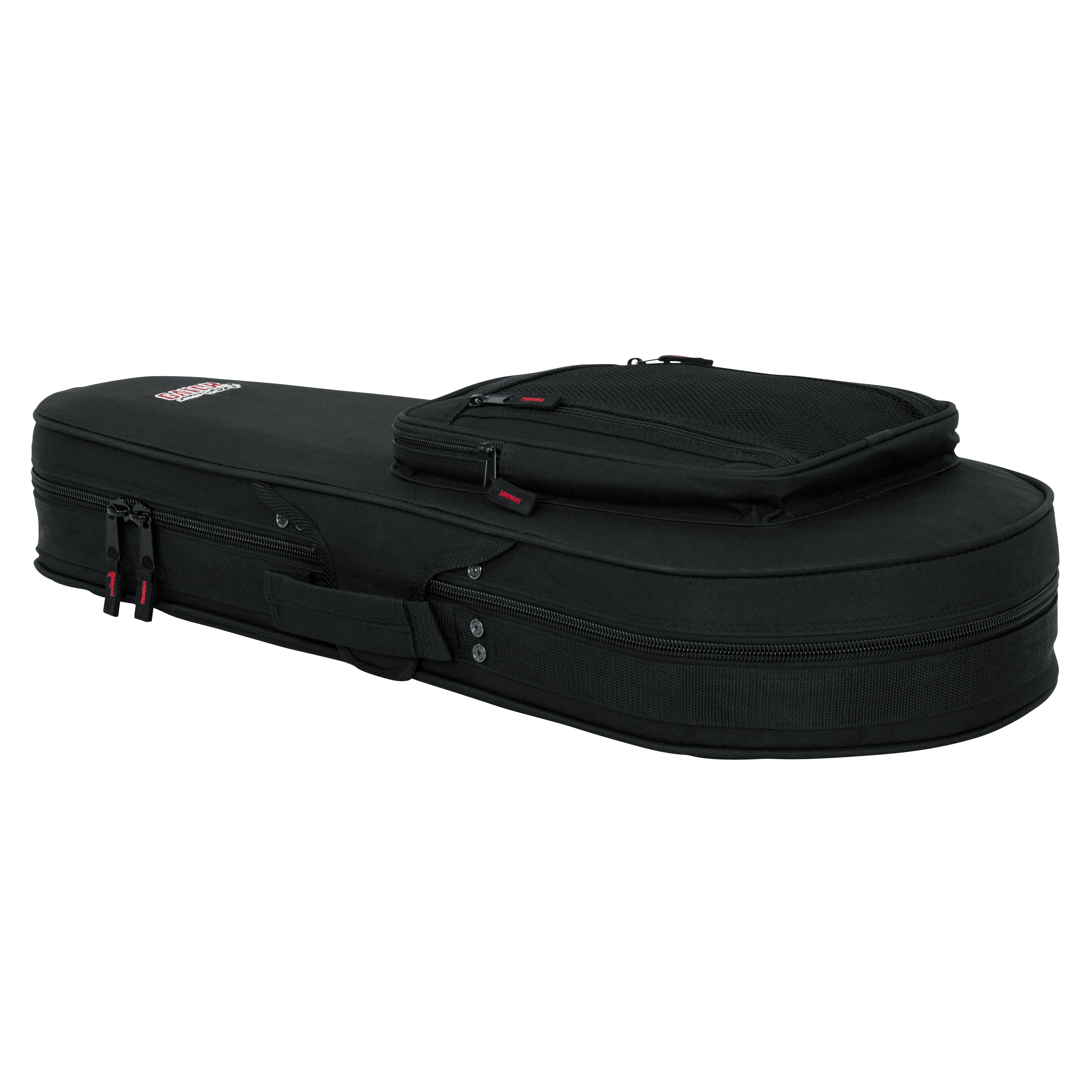 Mandolin Lightweight Case
