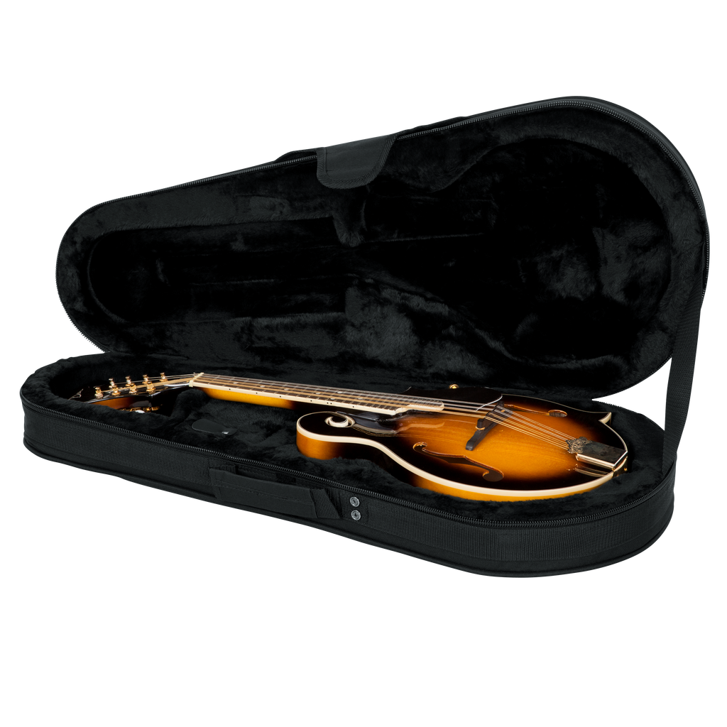 Mandolin Lightweight Case
