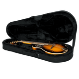Mandolin Lightweight Case