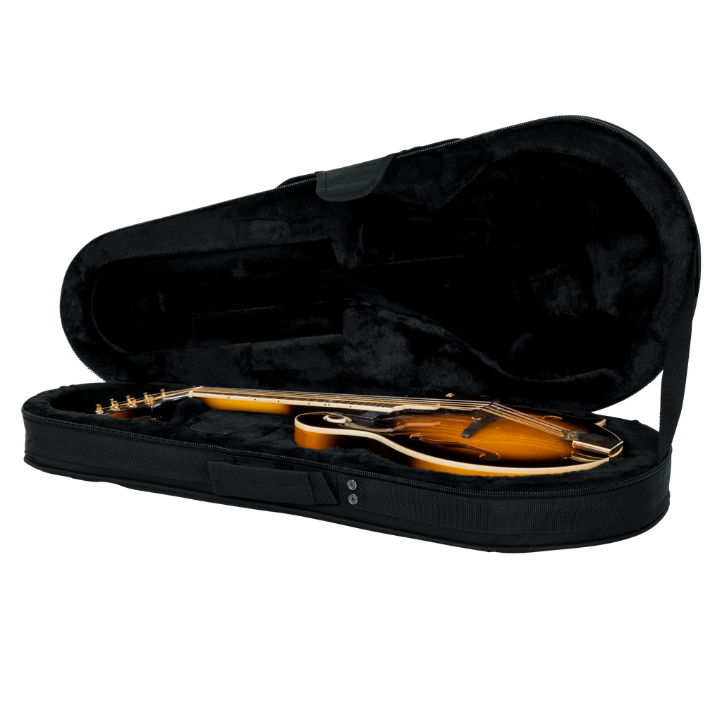 Mandolin Lightweight Case