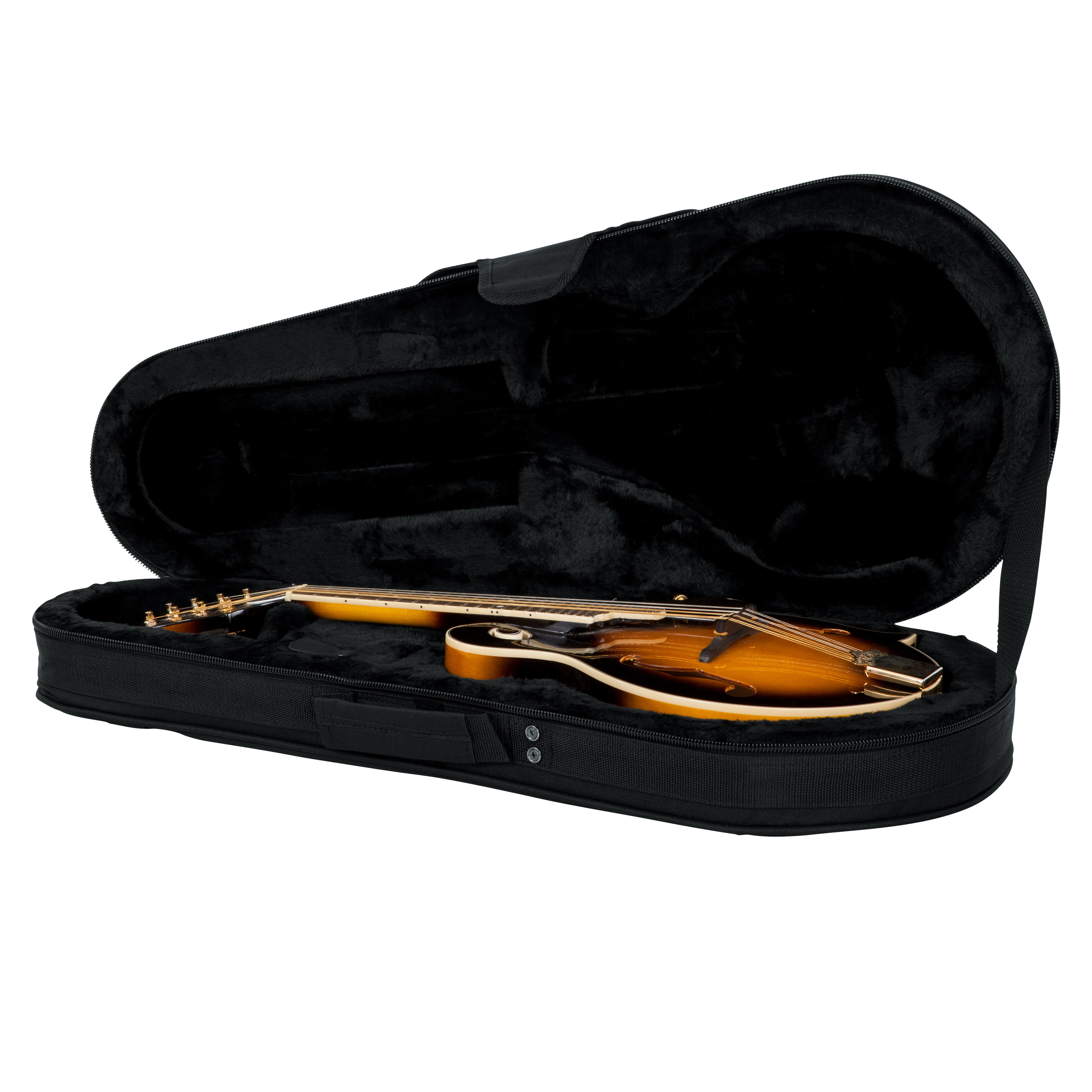 Mandolin Lightweight Case