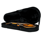 Mandolin Lightweight Case