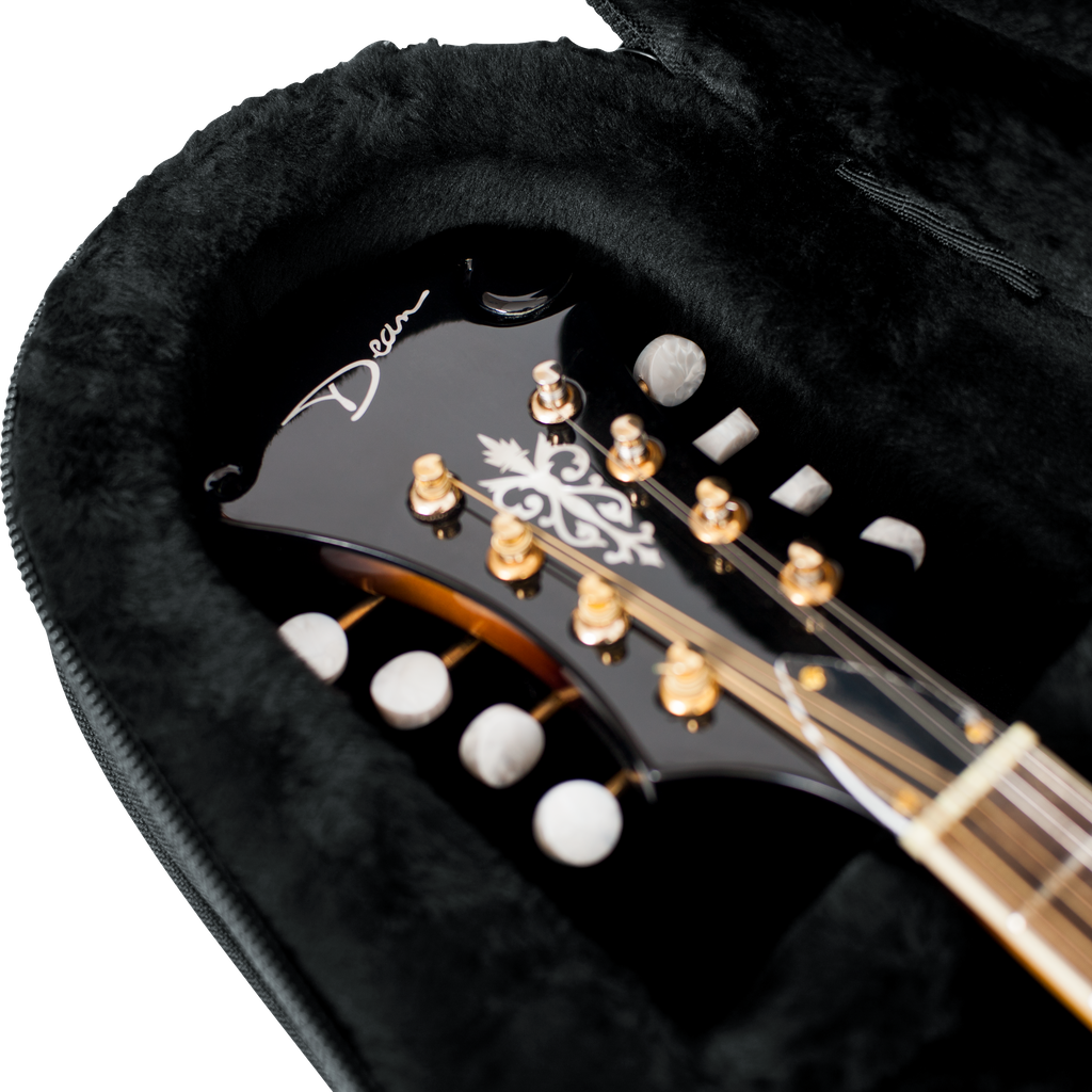 Mandolin Lightweight Case