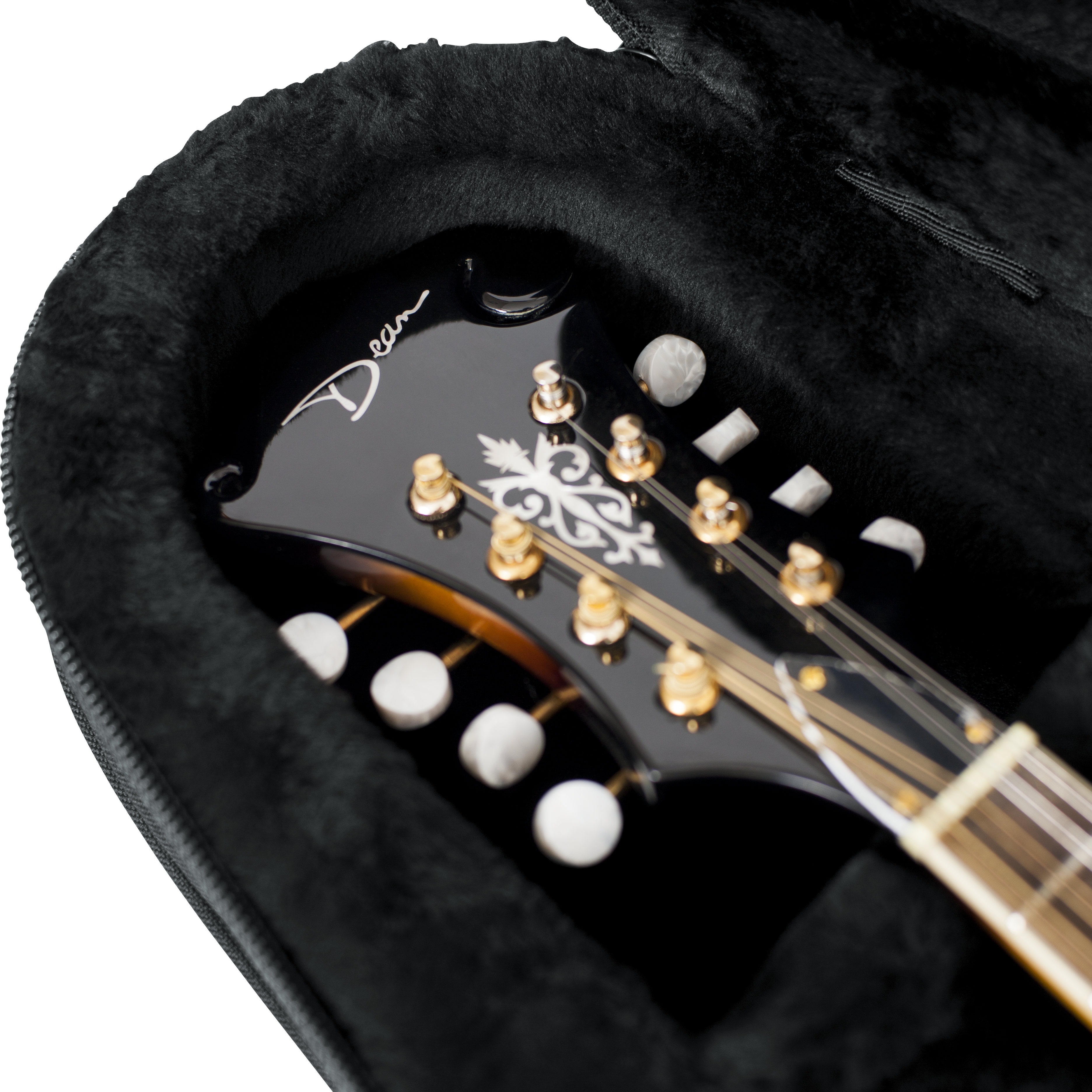 Mandolin Lightweight Case