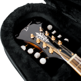 Mandolin Lightweight Case