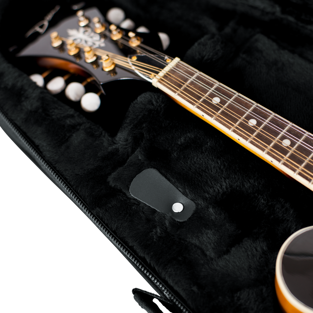 Mandolin Lightweight Case