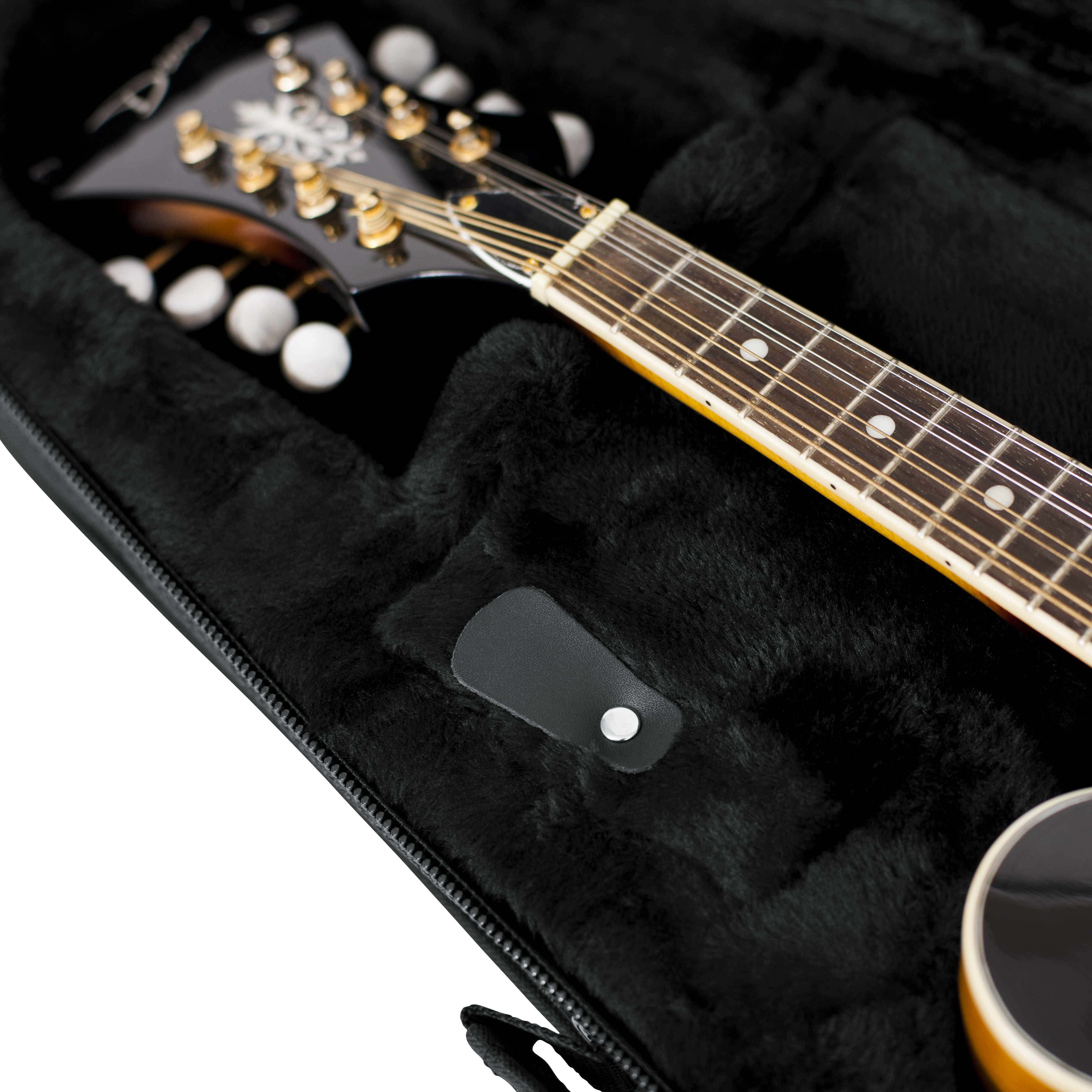 Mandolin Lightweight Case