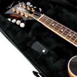 Mandolin Lightweight Case