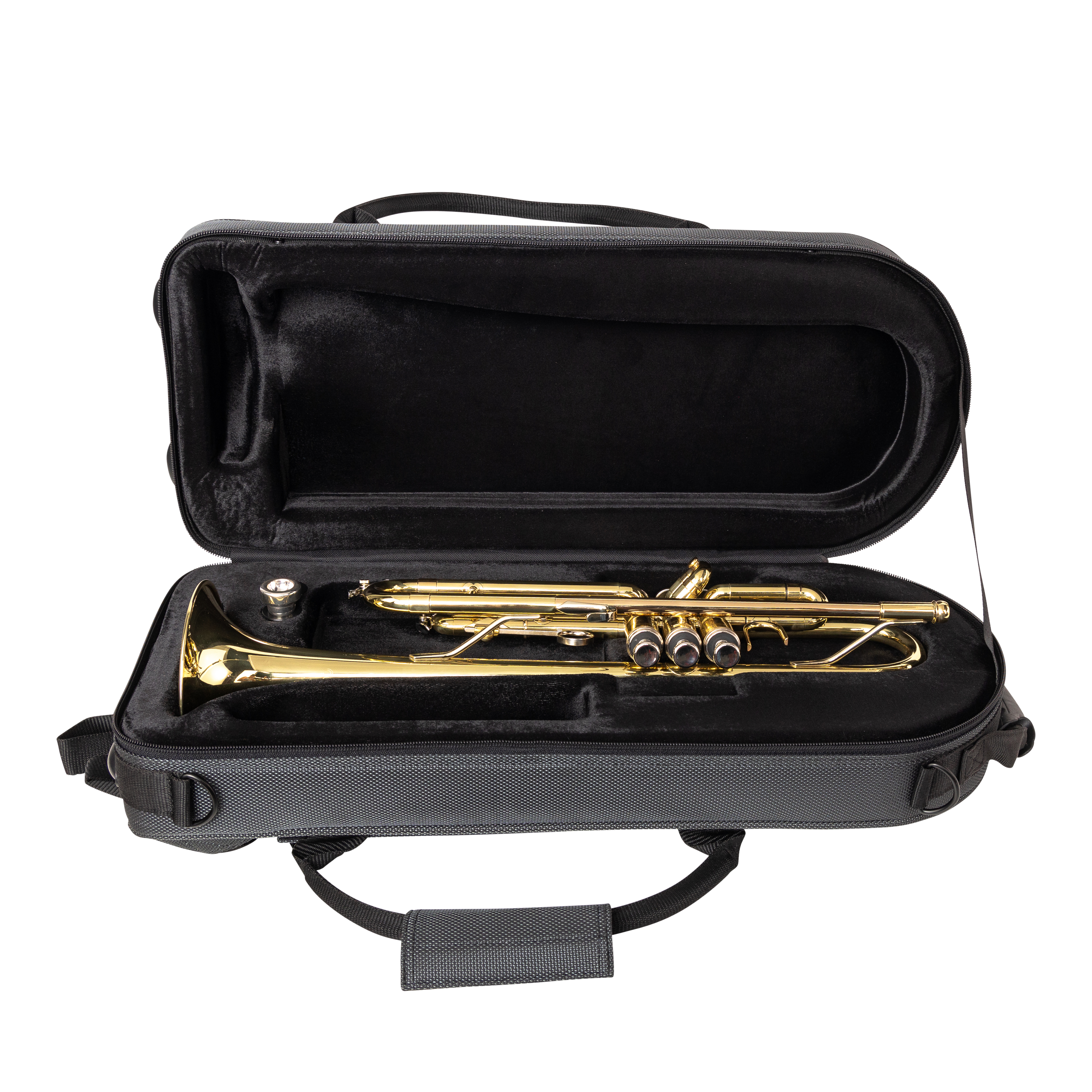 Gator Adagio Shaped EPS Case for Trumpet