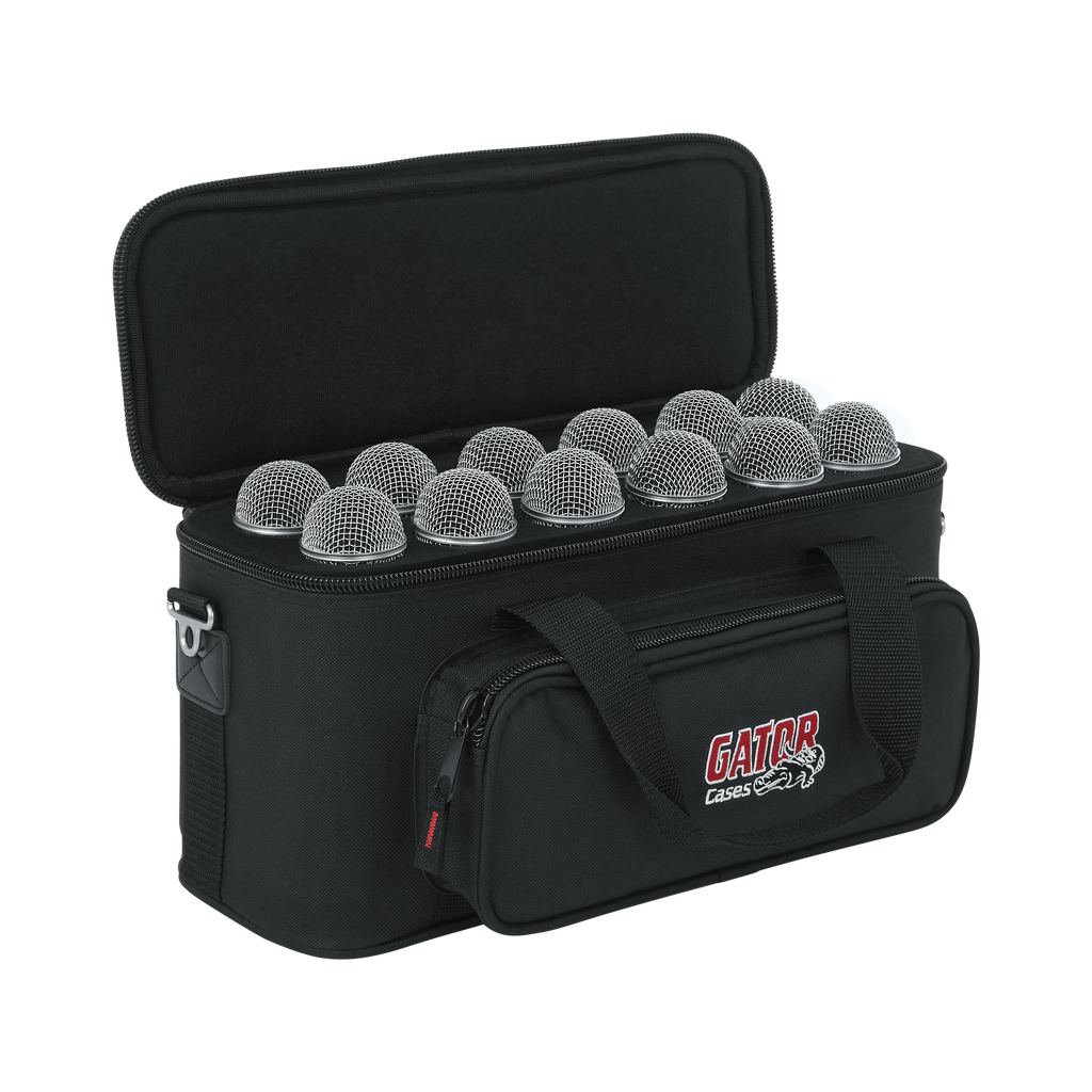 12 Microphones Bag