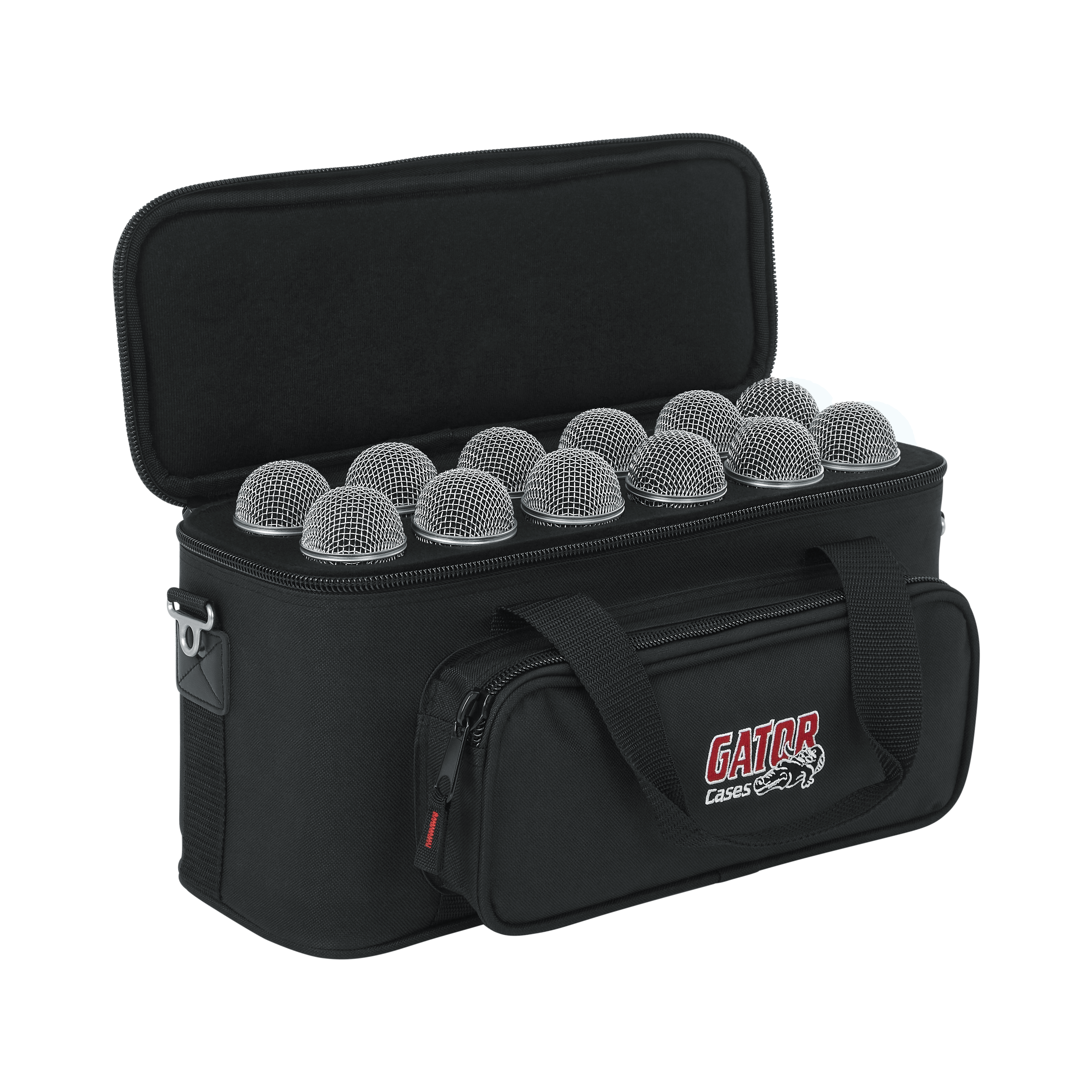 12 Microphones Bag
