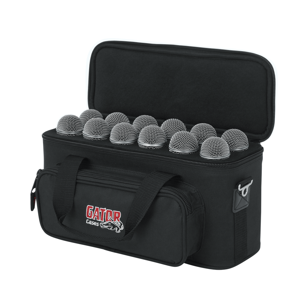 12 Microphones Bag
