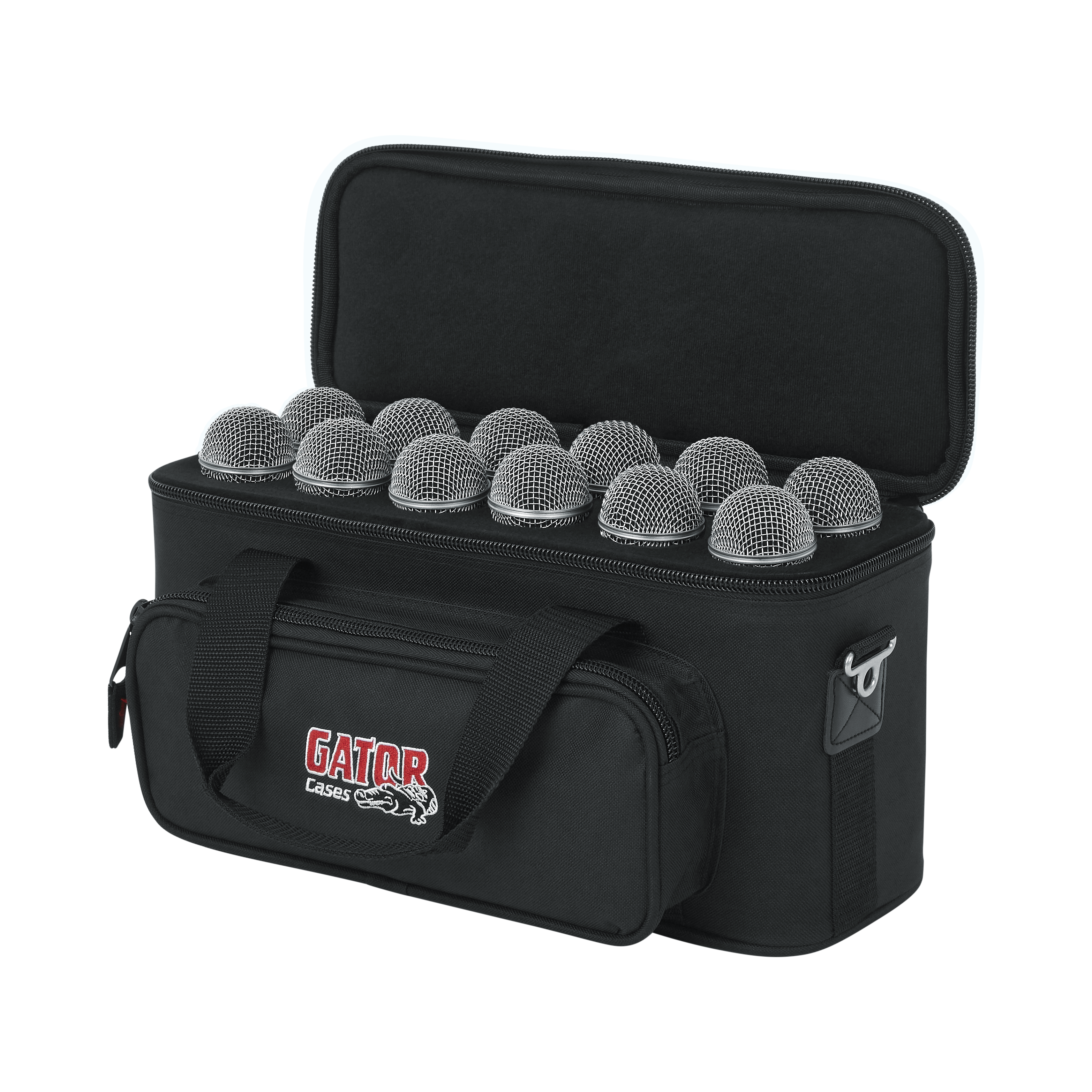 12 Microphones Bag